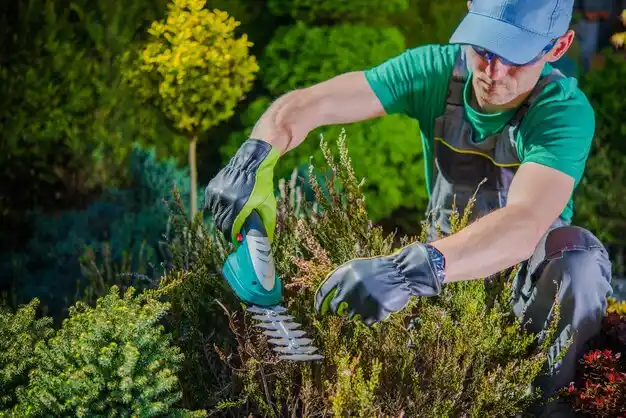 landscaping services Walthill